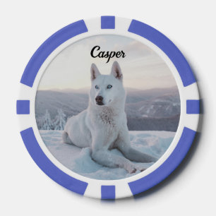 Lot De Jeton De Poker Enchanter White Husky Dog dans la neige