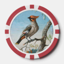 Étude d'oiseau par George Edwards (1694-1773)
