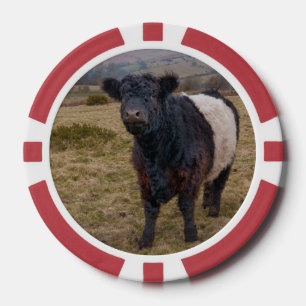 Lot De Jeton De Poker Fier debout de la ceinture Galloway sur Dartmoor F