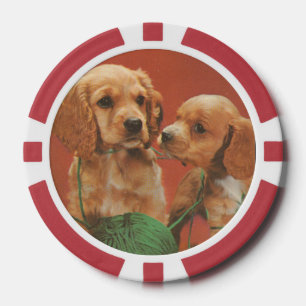 Lot De Jeton De Poker Fil et Affection, Cocker Spaniels en jeu