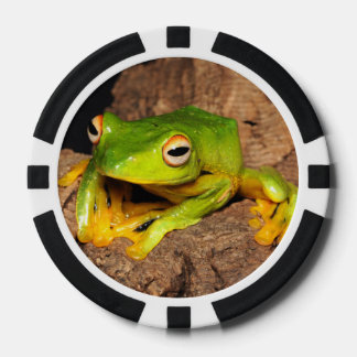Lot De Jeton De Poker Grenouille vietnamienne à poil noir