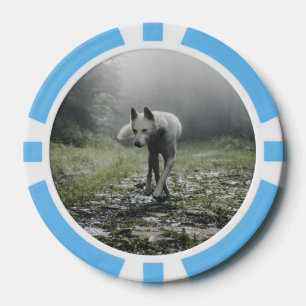 Lot De Jeton De Poker Husky Sibérien Blanc