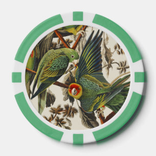 Lot De Jeton De Poker Illustration vintage d'Audubon du Perroquet de Car