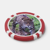 Lot De Jeton De Poker Jaguar (Simple)