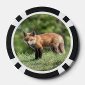 Lot De Jeton De Poker Kit Red Fox (Verso)