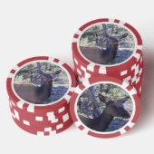 Lot De Jeton De Poker Oie (Empiler)