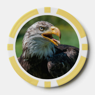 Lot De Jeton De Poker photo d'aigle