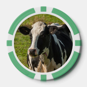 Lot De Jeton De Poker photo de vache