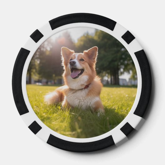 Lot De Jeton De Poker Photo personnalisée pour animaux (Verso)