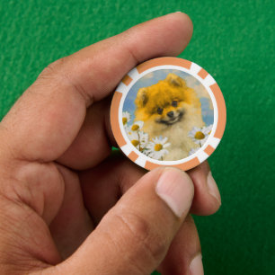 Lot De Jeton De Poker Poméranien dans Daisies Peinture - Art Chien origi