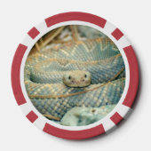 Lot De Jeton De Poker Puces de serpent (Verso)