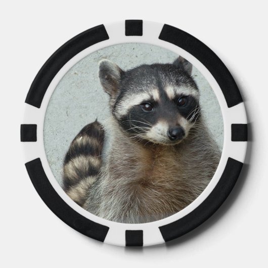 Lot De Jeton De Poker Raccoon (Recto)