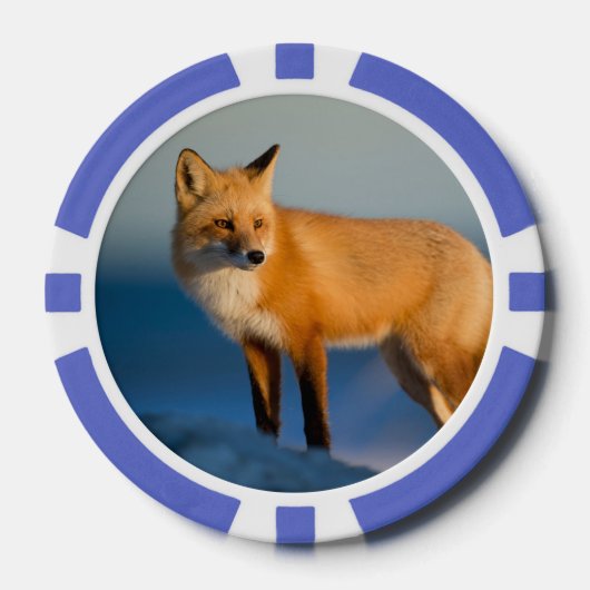 Lot De Jeton De Poker Renard Brown (Recto)