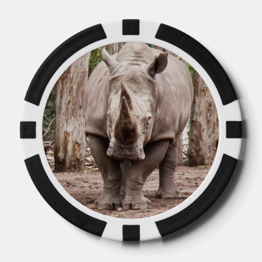 Lot De Jeton De Poker Rhino (Recto)