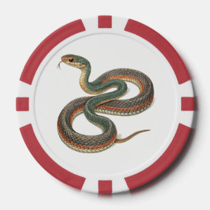 Lot De Jeton De Poker Serpent