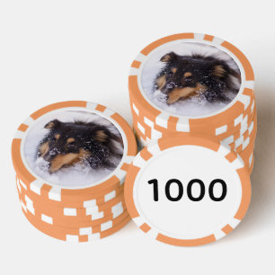 Lot De Jeton De Poker Shetland Sheepdog allongé dans la neige
