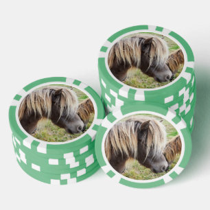 Lot De Jeton De Poker Tan Coloré Shetland Pony,