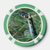 Lot De Jeton De Poker Tête de serpent (Verso)