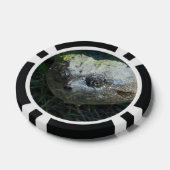 Lot De Jeton De Poker Tortue Snapper (Simple)