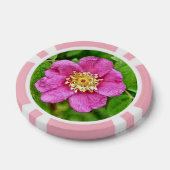 Lot De Jeton De Poker Un Rose sauvage (Simple)