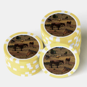 Lot De Jeton De Poker Valley of the Horses