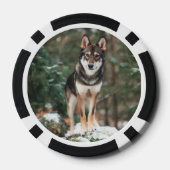 Lot De Jeton De Poker Wolfdog (Verso)