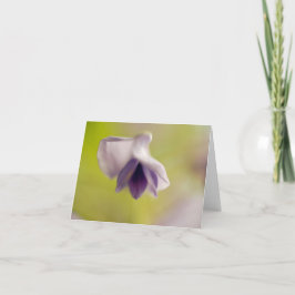 Lot drijvende ventilator blanco Kaart