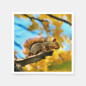 Lot Servet (Voorkant)