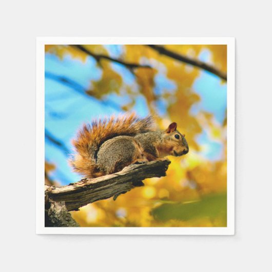 Lot Servet (Voorkant)