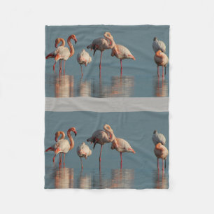 Lot van het Lot van de Jubilea van de Vogel van Fleece Deken