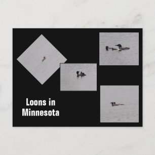 Lots dans Minnesota carte postale