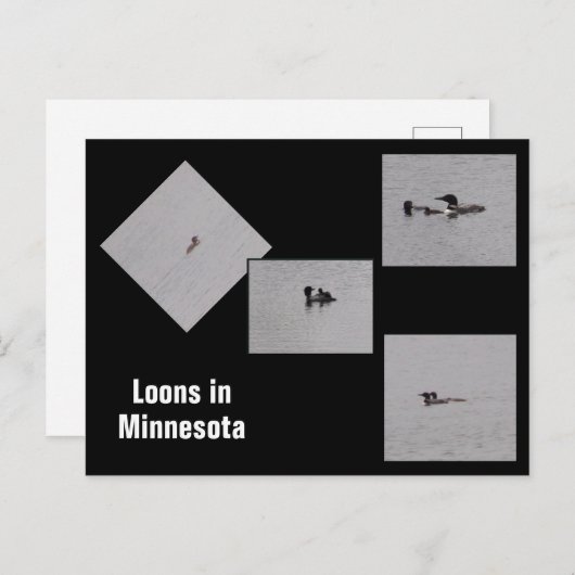 Lots dans Minnesota carte postale (Devant / Derrière)