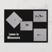 Lots dans Minnesota carte postale (Devant)