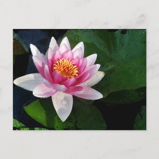 Lotus2 Briefkaart (Voorkant)