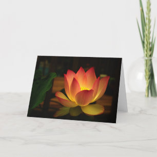 Lotus 1 kaart