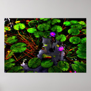 Lotus 1 poster