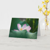 Lotus #2525 kaart (Gele Bloem)