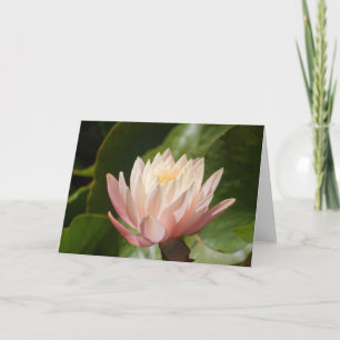 Lotus #2560 kaart