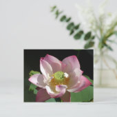 Lotus Aankondigingskaart (Staand voorkant)