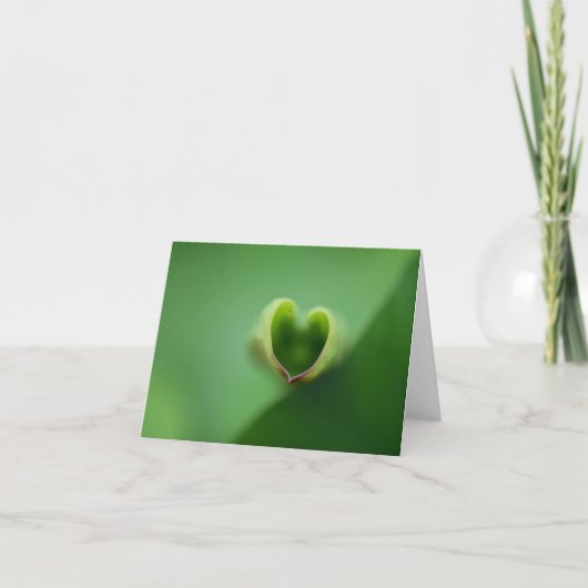 Lotus All Occasion Carte pour notes (Devant)