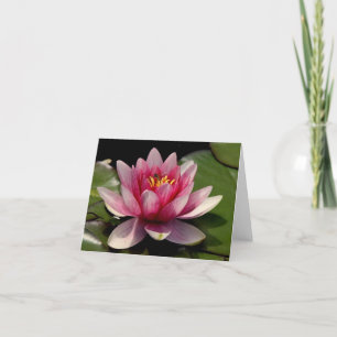 Lotus All Occasion Notecard Bedankkaart
