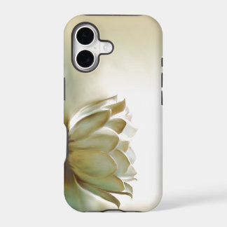 Lotus blanc