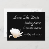 Lotus blanc Enregistrer la carte postale Date (Devant / Derrière)