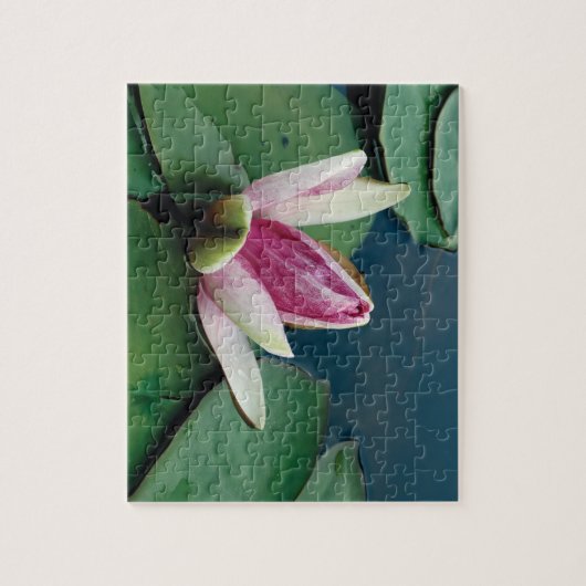 Lotus Bloem 8x10 Fotopuzzel met geschenkdoos Legpuzzel (Verticaal)