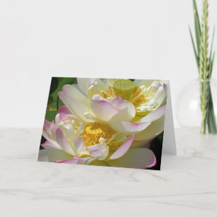 Lotus Bloem Duet Kaart