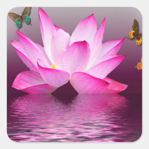 Lotus Bloem met Vlinder Insect Vierkante Sticker