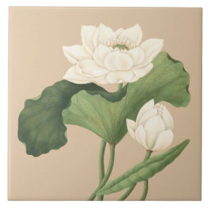 Lotus Bloem van Oost-Indische Botanische Kunst Tegeltje