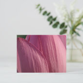 Lotus Bloemblaadjes Roze Bloem Briefkaart (Staand voorkant)