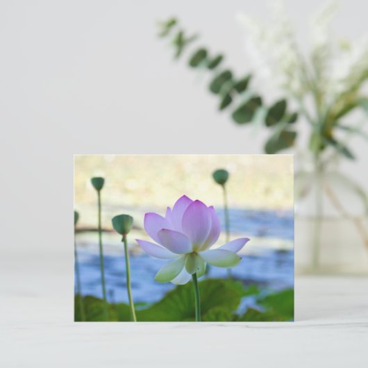 Lotus Bloom Briefkaart (Staand voorkant)