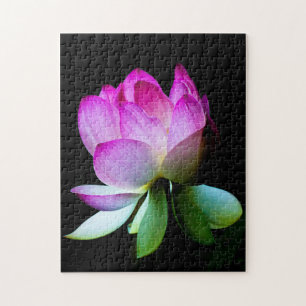 Lotus Bloom Legpuzzel